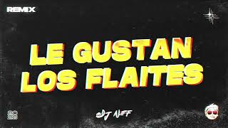 LE GUSTAN LOS FLAITES RKT  DJ NEF  TIKTOK REMIX [upl. by Bohaty595]