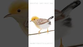 DIGITAL ART  DAY 182 Goldenheaded Cisticola artoftheday dayinmylife digitalillustrationart [upl. by Yusem]