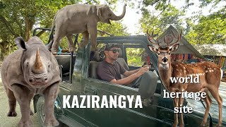 Kaziranga National Park 🏞️ [upl. by Winola475]