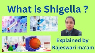 what is Shigella [upl. by Turtle]