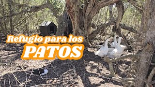 Un refugio para los patos [upl. by Rosecan]