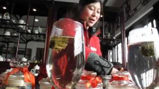 Green tea china presentation Chinese green tea degustation best green tea china video [upl. by Sakram]