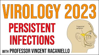 Virology Lectures 2023 17 Persistent infections [upl. by Nosremaj]