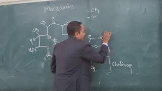 Macrolide Structure [upl. by Kynan]