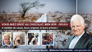 VOUS AVEZ DROIT AU CHOCOLAT BIEN SÛR  OPUS II [upl. by Revned]