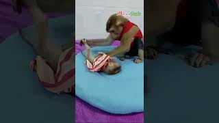 dodo wake newborn up cutenewborn lovelynewborn newbornmonkey clevermonkey [upl. by Rudd]