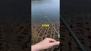 Is the Medium Sinking Hangover Shad Good bassfishing shorts [upl. by Atnom]