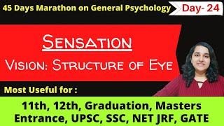 Vision amp the Structure of Eye explained in Hindi General Psychology Lectures Mind Review [upl. by Meelak]