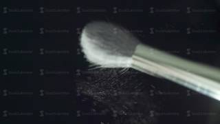 Cosmetics brush and explosion makeup powder background [upl. by Gnort]