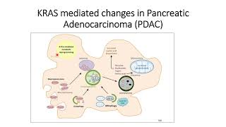 How KRAS mutation help Pancreatic Cancer cell development Code 594 [upl. by Lita]