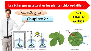 les échanges gazeux chlorophylliens svt 1bac sc ex option français شرح بالداريجة [upl. by Azriel]