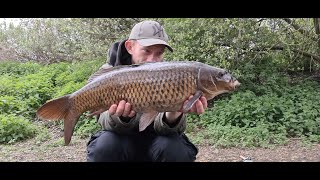 Willow Lake Darenth Fishing Complex  Short Session Fishing [upl. by Ebba217]