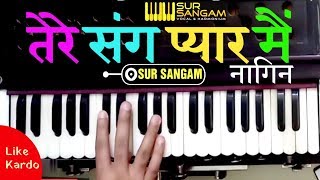 नागिन धुन  Tere Sang Pyar Main  Harmonium  Piano  Keyboard  Nagin Song Dhun  Sur Sangam [upl. by Astrix]