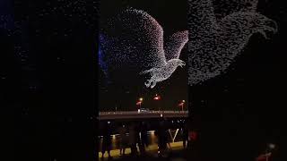 Drone Show in Shenzhen China china chinatravel [upl. by Inavoy]