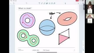 Tutorial Topological Data Analysis Katherine Benjamin [upl. by Ojiram]