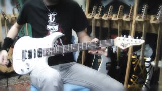 Vigier Excalibur Supra METAL MADNESS  Neogeofanatic [upl. by Edea]