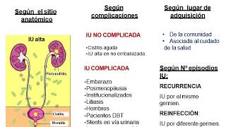 Seminario 11 Infecciones del tracto urinario e ITS [upl. by Yenttirb]