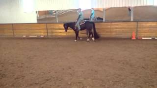 Hurtin For Certain 2007 AQHA HUSAllAround Gelding SOLD [upl. by Nireves]