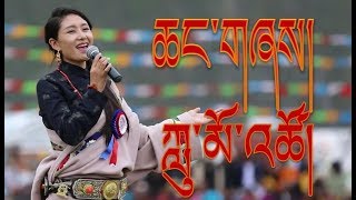 Lumo Tso 2017  ཆང་གཞས། [upl. by Ecirtnom891]