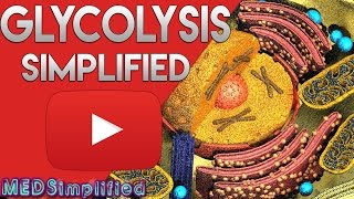 Glycolysis Pathway Made Simple  Biochemistry Lecture on Glycolysis [upl. by Dnomed234]