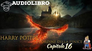 Audiolibro  Harry Potter e lordine della fenice  Lettura e Commento Cap 16 [upl. by Nosak]