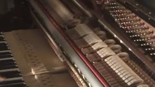 MECCANICA DEL PIANOFORTE [upl. by Eynahpets]