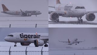 231230 旭川空港 国際線 Tigerair A320200N B50026 Arrival amp Departure at Asahikawa Airport RJEC [upl. by Amisoc]