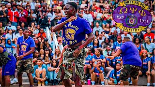 Omega Psi Phi  Mighty Rho Psi Chapter PΨ Fall 24 Yard Show  Tennessee State University [upl. by Tressia]