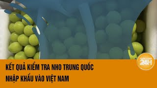 Công bố kết quả kiểm tra nho Trung Quốc nhập khẩu vào Việt Nam  Toàn cảnh 24h [upl. by Deehsar479]