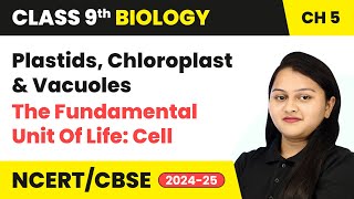 Plastids Chloroplast amp Vacuoles  The Fundamental Unit Of Life Cell  Class 9 Biology Chapter 5 [upl. by Airetahs1]