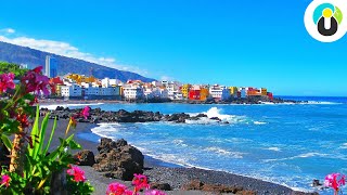 TENERIFFA Urlaub Tipps 🌴 Reisetipps für die wunderschöne Insel Teneriffa  Guru on Tour [upl. by Nerti]