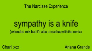 Charli xcx Ariana Grande  sympathy is a knife extended mix but its also a mashup with the remix [upl. by Maclaine]