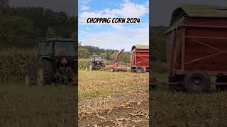 Chopping corn 2024 cornchoppingfarming [upl. by Sherwynd858]