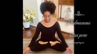 Padmasana Lotus pose Beginner Intermediate [upl. by Colwell]