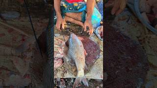 Most Expensive amp Popular Giant Rohu Fish Cutting Live Fish Market 🤭 Episode328 shorts [upl. by Asserac]