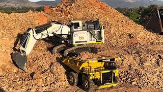 Liebherr RC 9800 excavator with Cat 793 Dump truck First Dig Mining [upl. by Celeski]