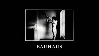 Bauhaus  Rosegarden Funeral of Sores instrumental [upl. by Airret482]