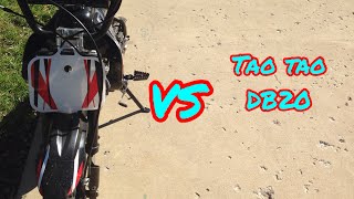 Coolster 70cc VS Tao Tao 110cc [upl. by Ueik359]