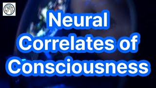 Understanding Organoid Consciousness Breakthroughs in Neuroscience and Ethics [upl. by Russi760]