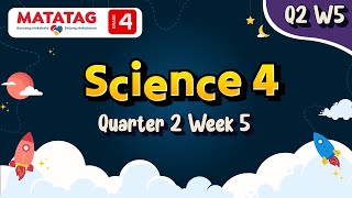 MATATAG Science 4 Quarter 2 Week 5 [upl. by Kulda468]