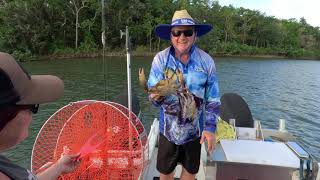 Daintree River First Day [upl. by Leticia]