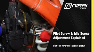 Pilot amp Idle Screw Adjustment Explained  Part 1  PilotAirFuel Mixture Screw [upl. by Aleahcim704]