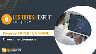 Pegase EXPERT Extranet  Créer une demande [upl. by Sheri]