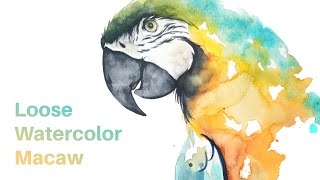 Watercolor Macaw Tutorial  Realism mixed with Loose Washes [upl. by Litta]