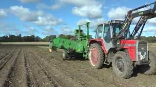 Potato harvest 2015 With the MF 690 and a Wuhlmaus 1033 potato harvesters Sept 2015th [upl. by Aletha]