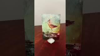 369 Capricorn  Spirit Animal Oracle Message Sandpiper Spirit [upl. by Giulio]