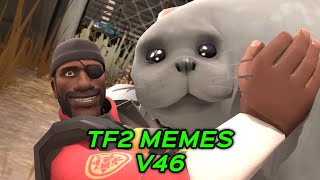 TF2 MEMES V46 [upl. by Akemehs]