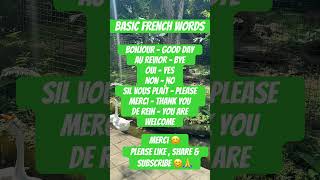 Basic French Word ytshorts shorts frenchbasics frenchlanguage frenchgreetings viralshorts [upl. by Perlie]