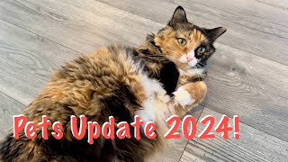 Pets Update 2024 [upl. by Vershen]