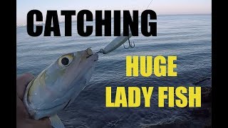 Catching Big Gigantic Lady Fish From Shore on Lures [upl. by Abrahan]